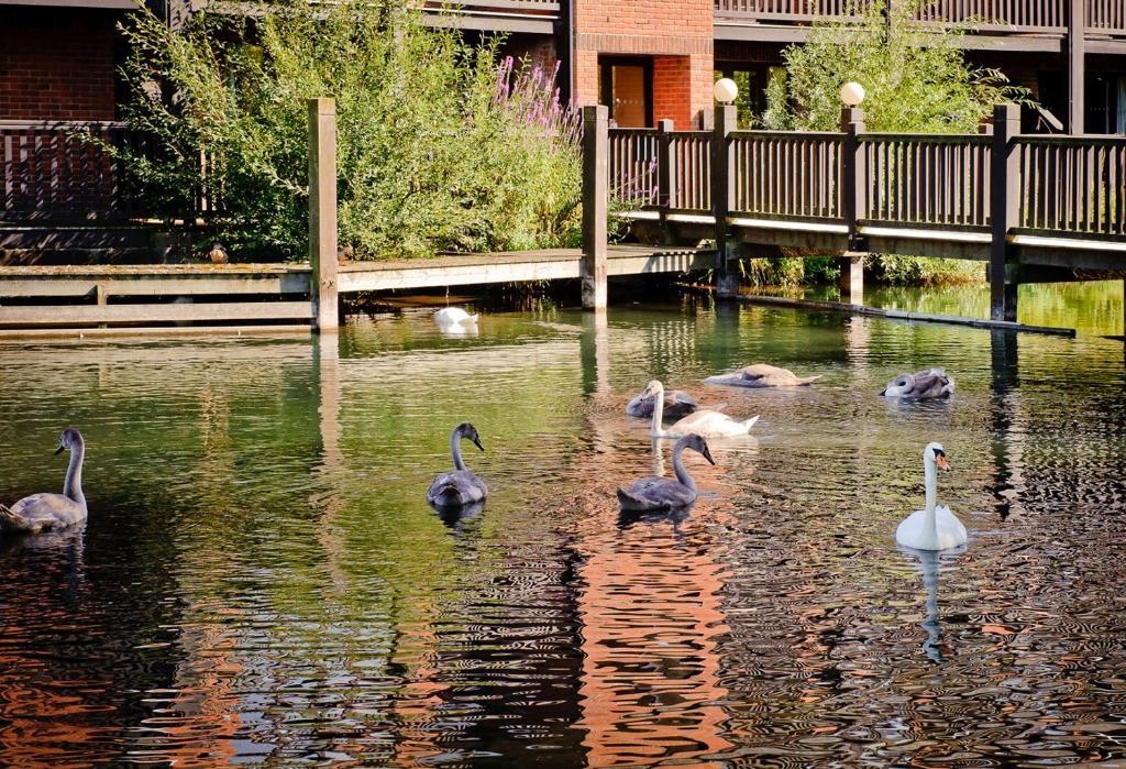 Reading Lake Hotel Εξωτερικό φωτογραφία